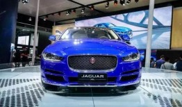 国产特一级,匠心独运，品质卓越的国产之光