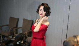 国产刘婷,闪耀舞台的璀璨之星