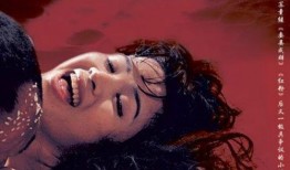 国产19禁,揭秘禁忌之下的激情与挑战