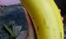 国产情侣大香蕉,甜蜜瞬间，浪漫满溢