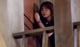 国产嫂子,传承家国情怀，展现新时代女性风采